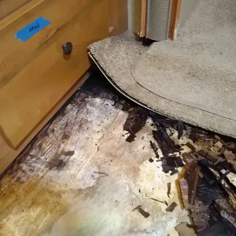 Wood Floor Water Damage in East Elmhurst, NY